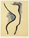 MAN RAY De lOrigine des Espèces par Voie de Sélection Irrationelle.